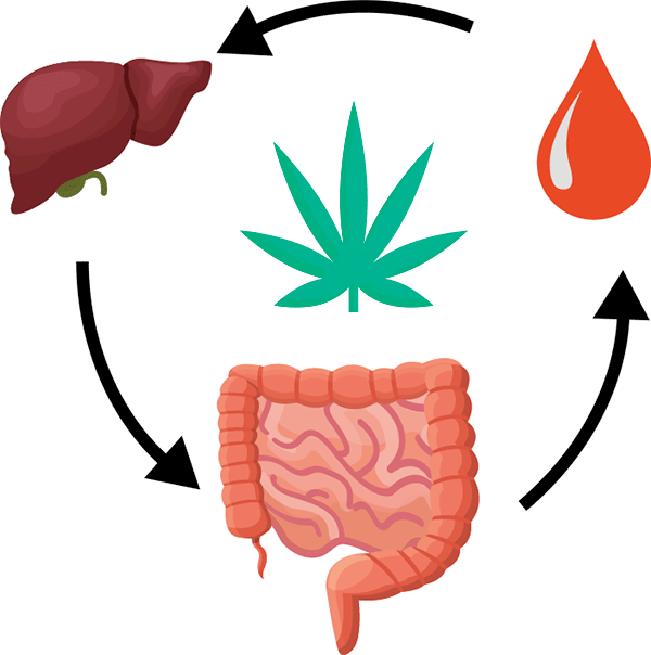 Using activated charcoal to pass drug test and break enterohepatic recirculation