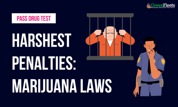 9 Countries with the cruelest punishment for marijuana use