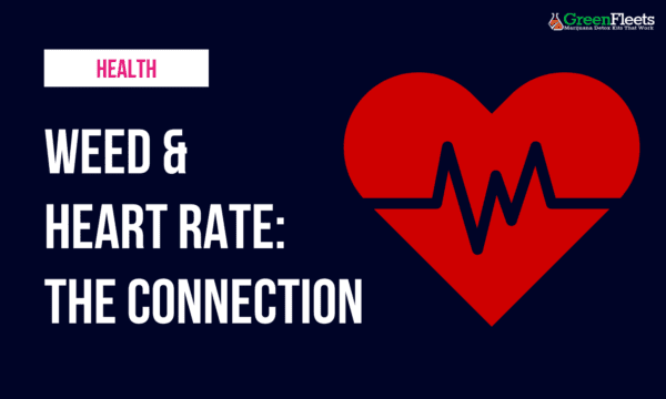 Why Does Weed Raise Your Heart Rate? The Cardiac Effects of Marijuana